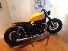 triumph-0509
