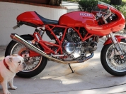 Ducati sport 1000s 60