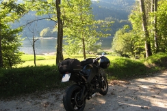 04-buell-xb12sx-und-triumph-speed-triple-vogesen